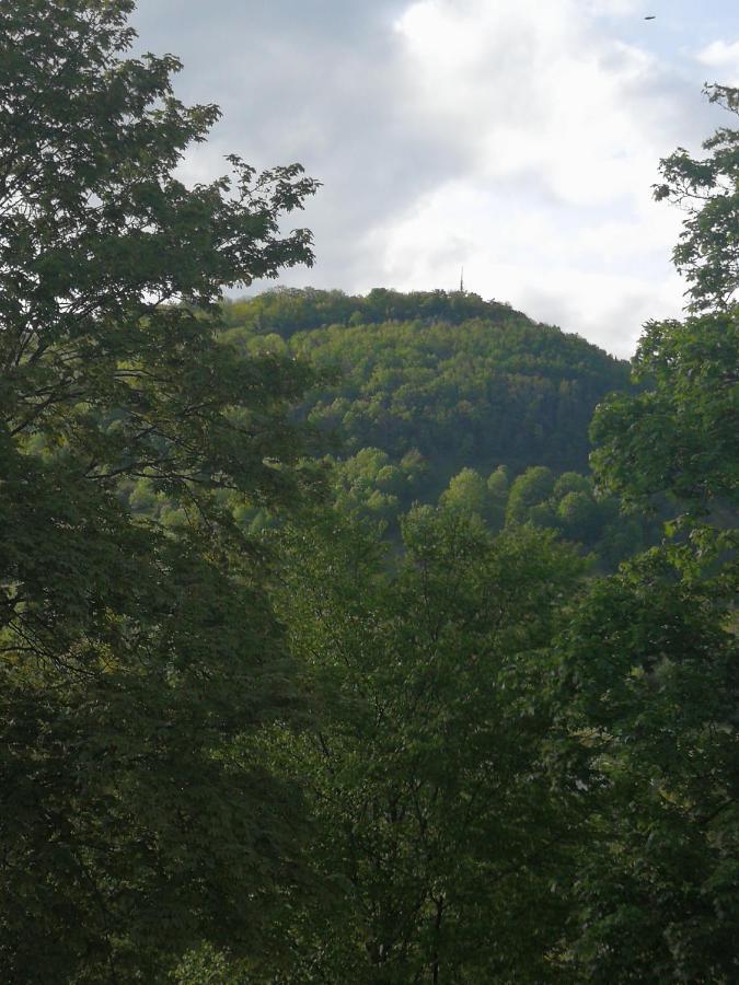 Ferienwohnung *Am Bronnwiesle* Deggingen Esterno foto